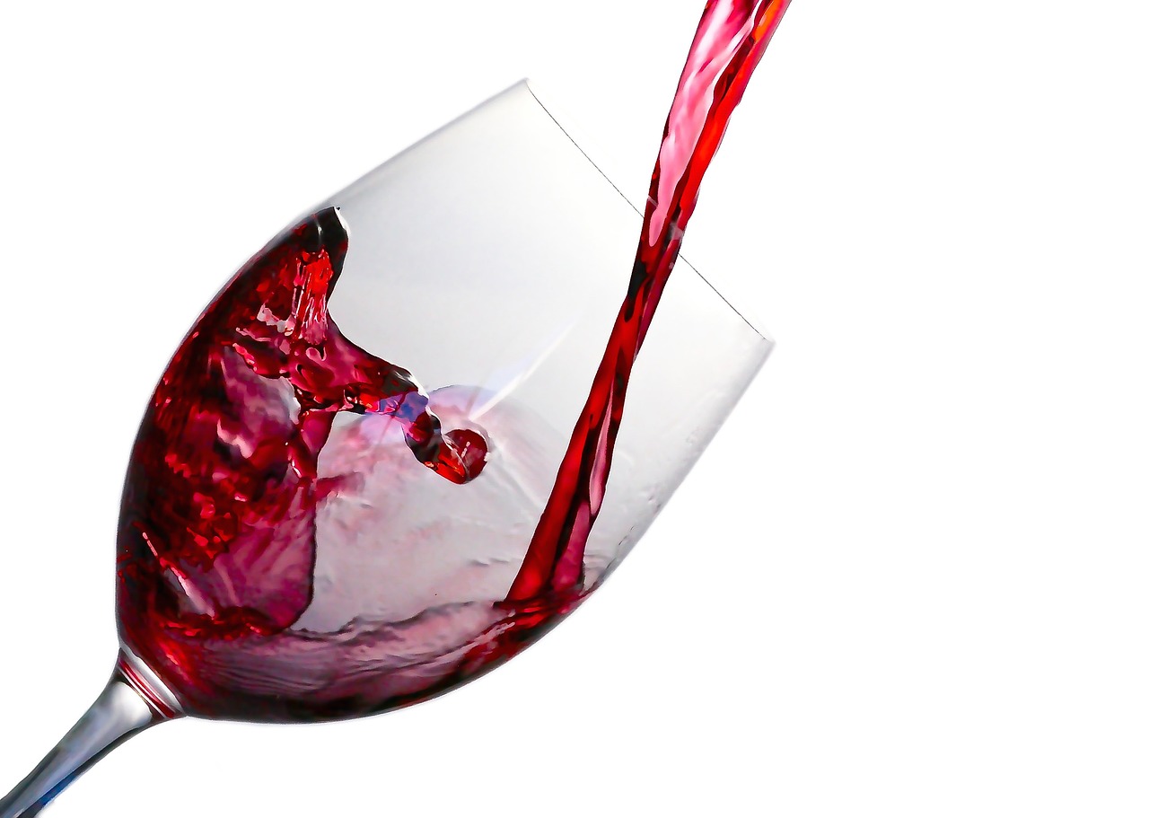 los malbec más elegidos de argentina 2019